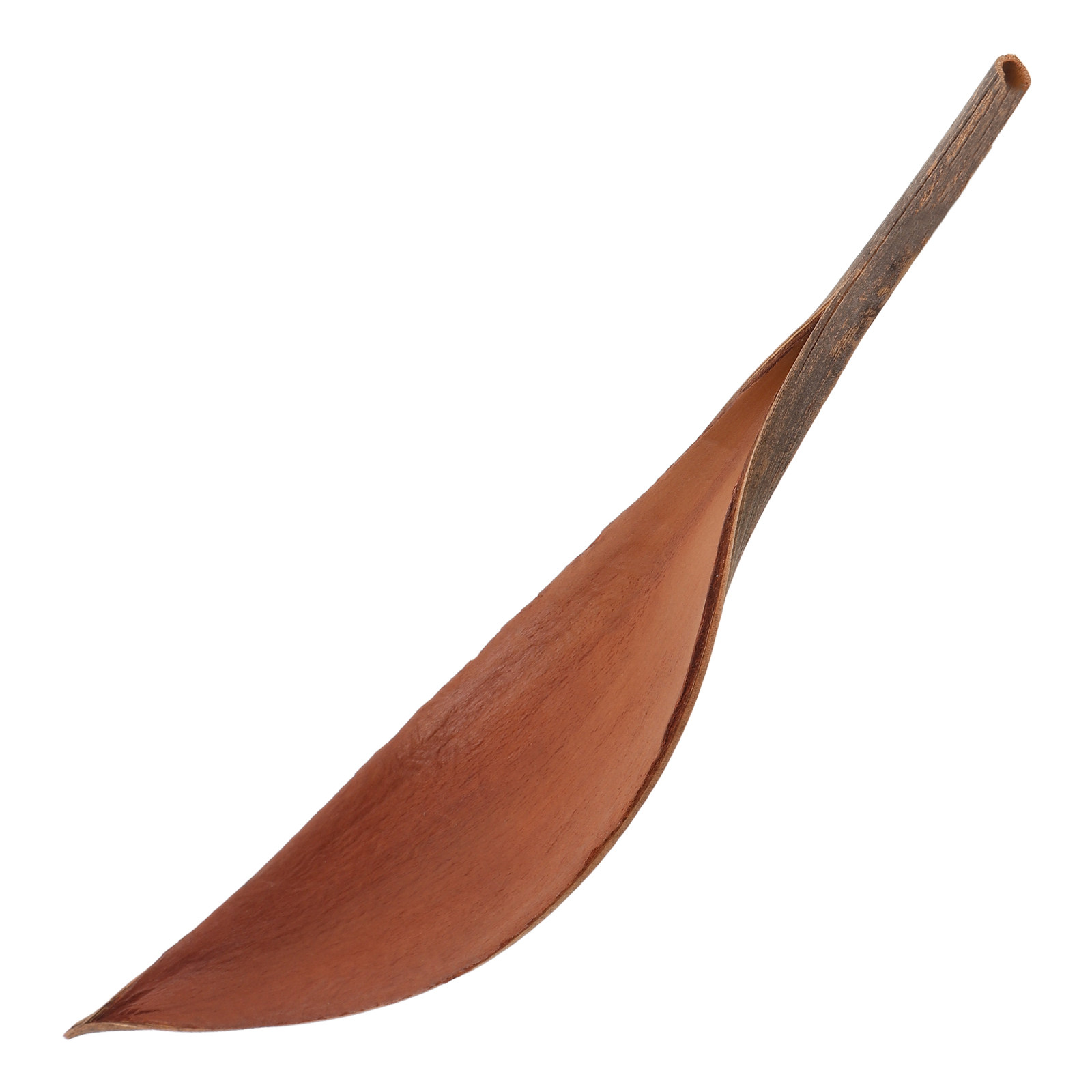Art Craft Cafe - Lebensechte Holzblätter-Dekorationen, Tischdekoration, Kunstblätter, 18-25 cm,