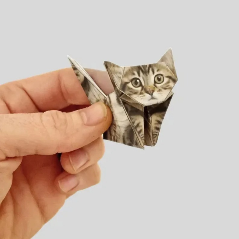 Kreatives DIY-Papierkatzen-Set – Art Craft Cat Bewertung und Preis