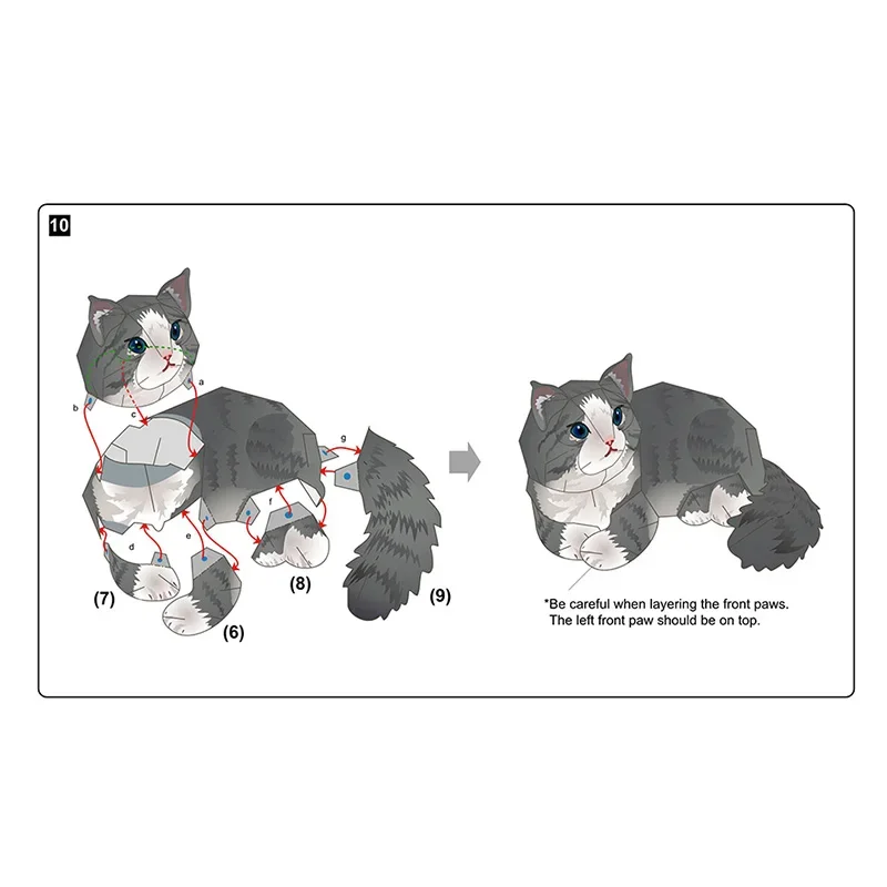 Norwegische Waldkatze, faltbar – Art Craft Cat Bewertung und Preis