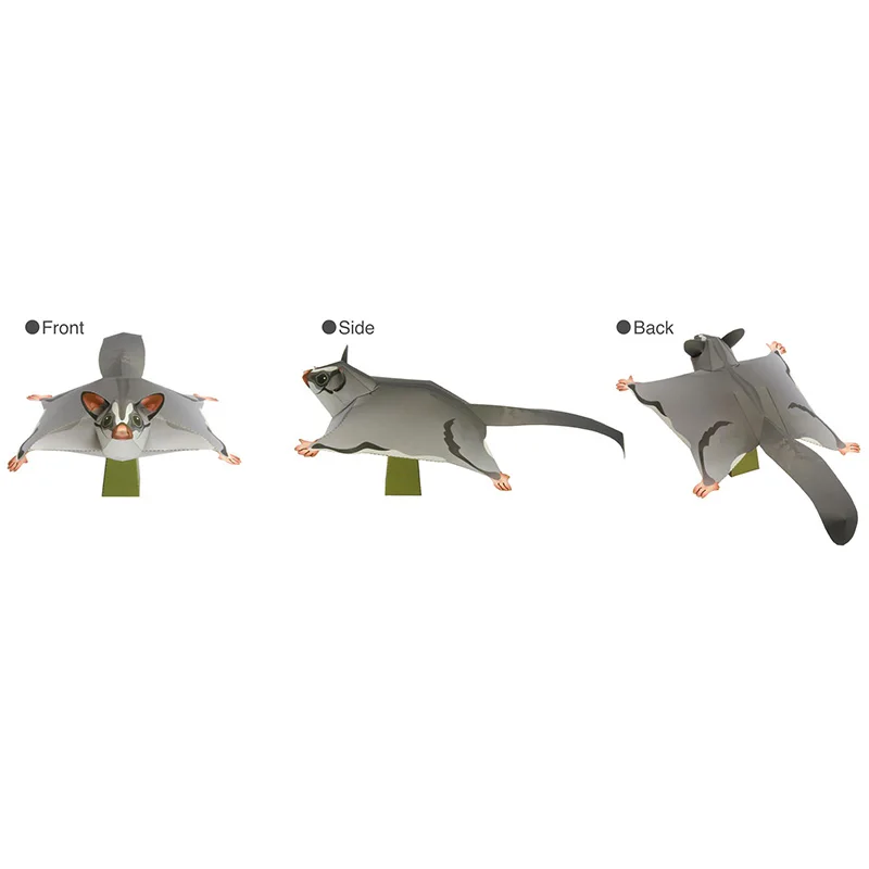 Sugar Glider Flying Mouse Hand – Art Craft Center Bewertung und Preis